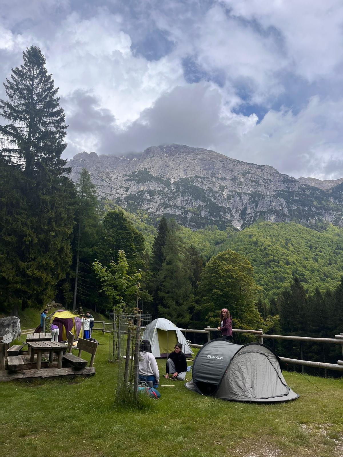 the tents